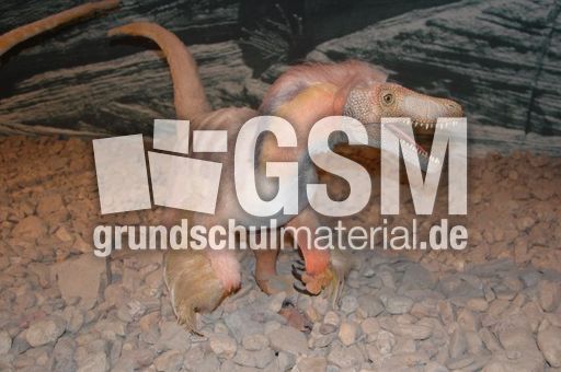 gefiederter Saurier1.jpg